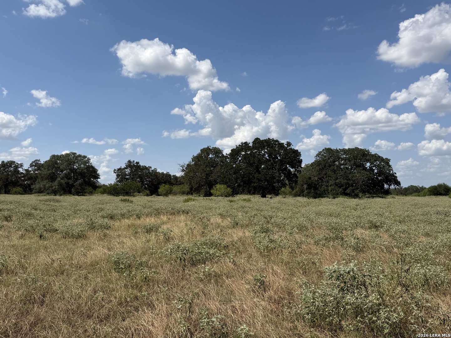 property viewer photo 9