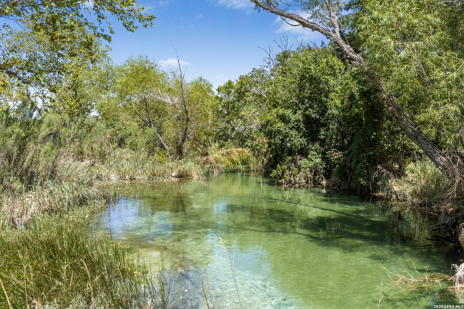 main property photo 39