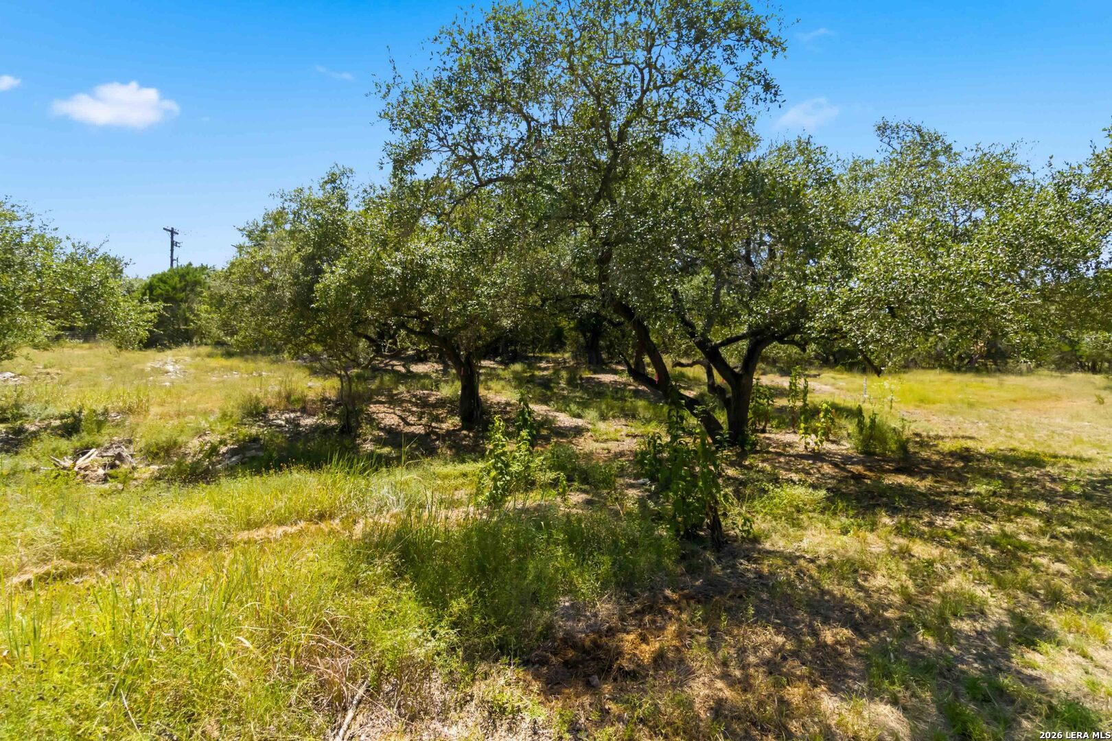 main property photo 18