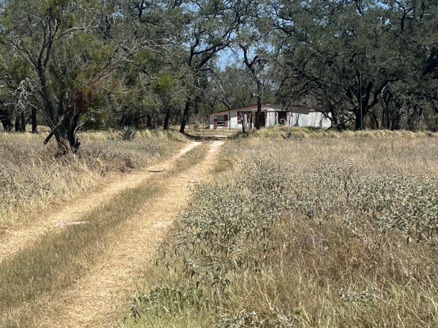 main property photo 1