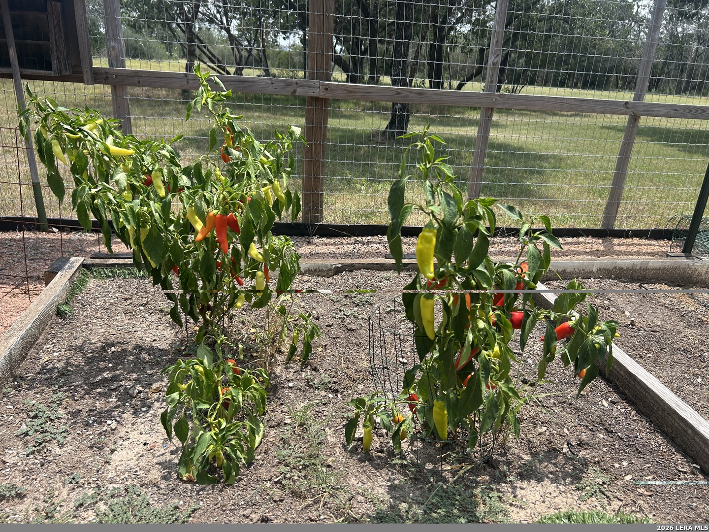 main property photo 55