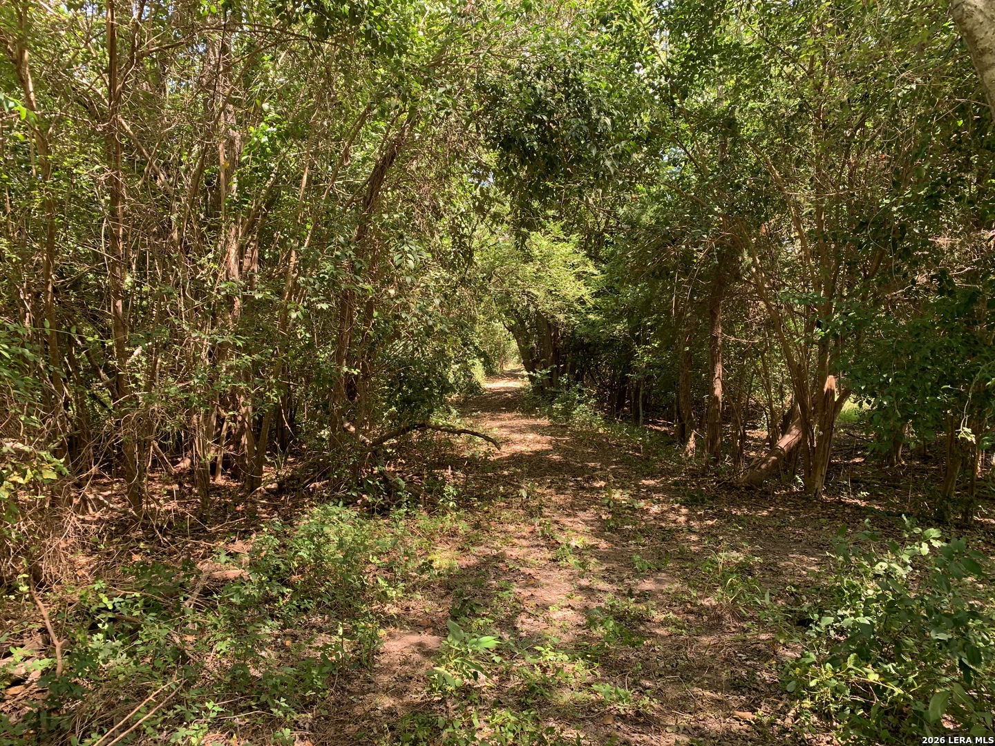 main property photo 38