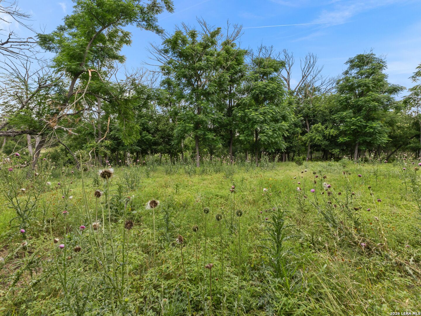 main property photo 41