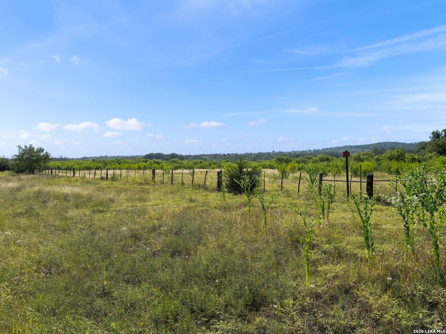 main property photo 55