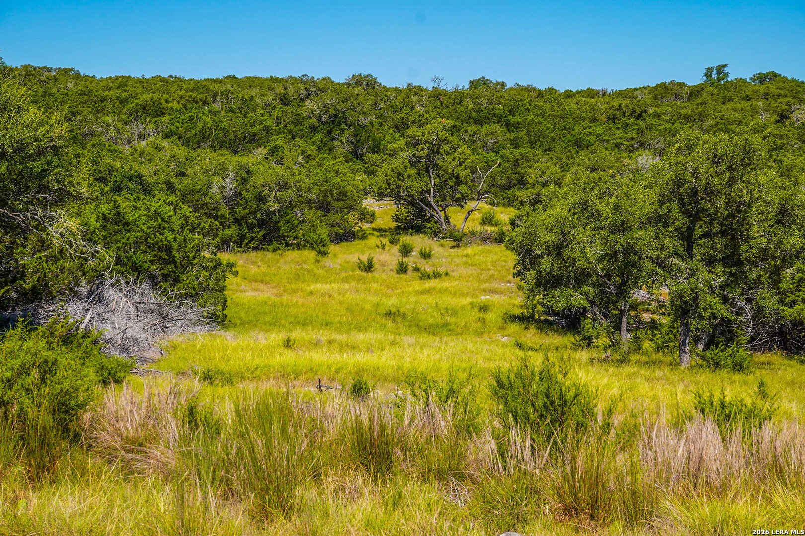 main property photo 54