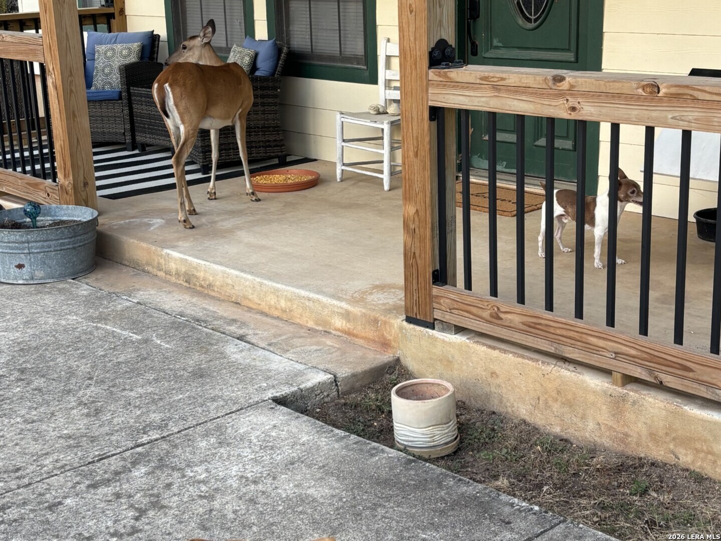 main property photo 43