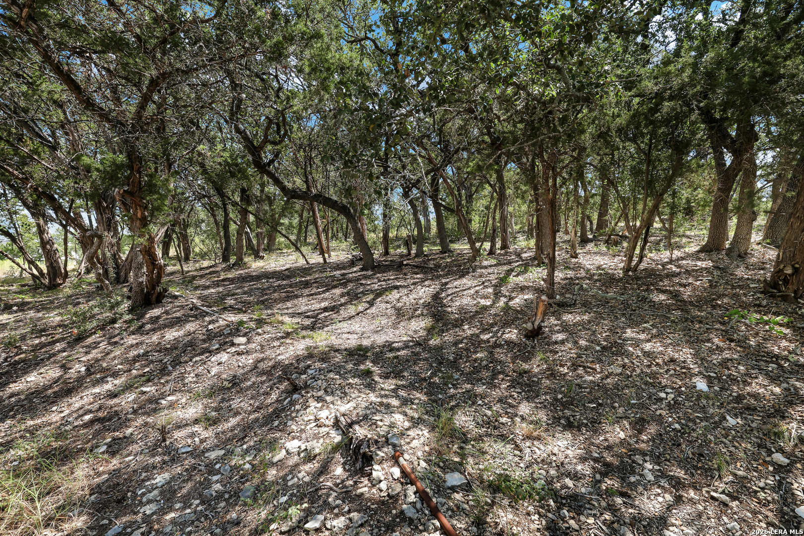 main property photo 28