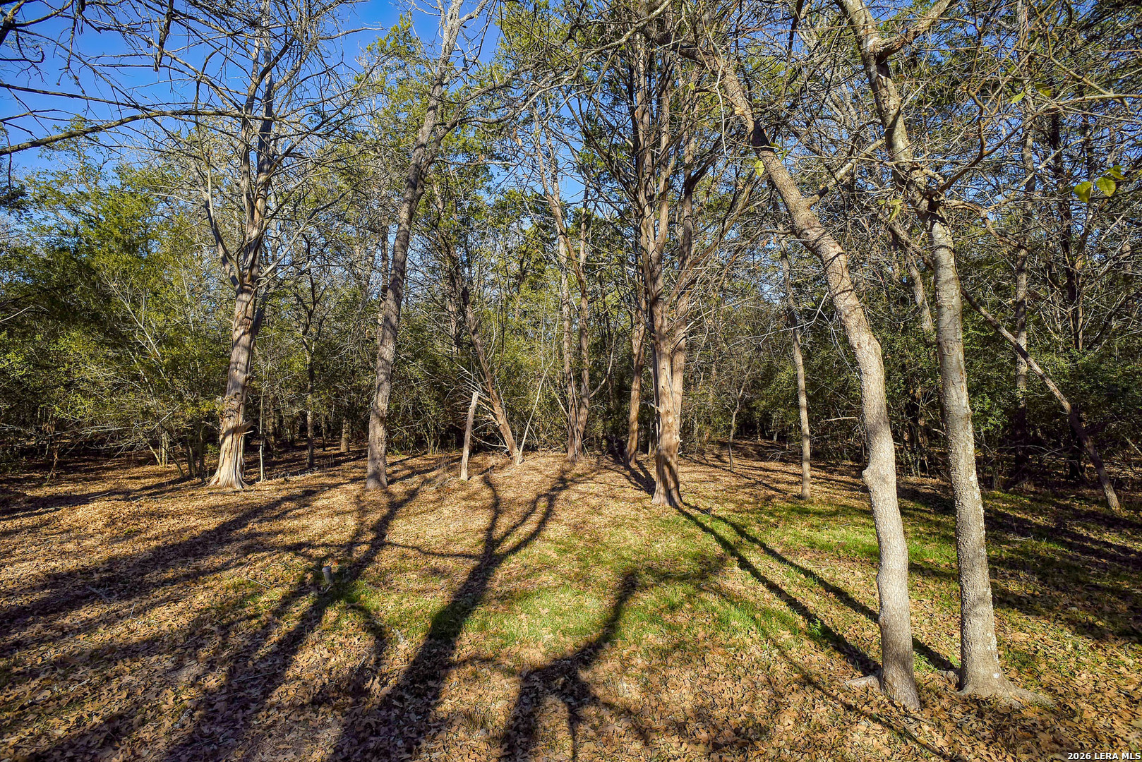 main property photo 36