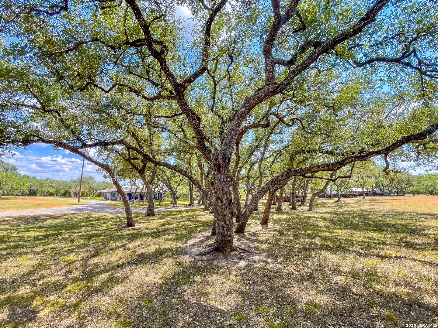 main property photo 44