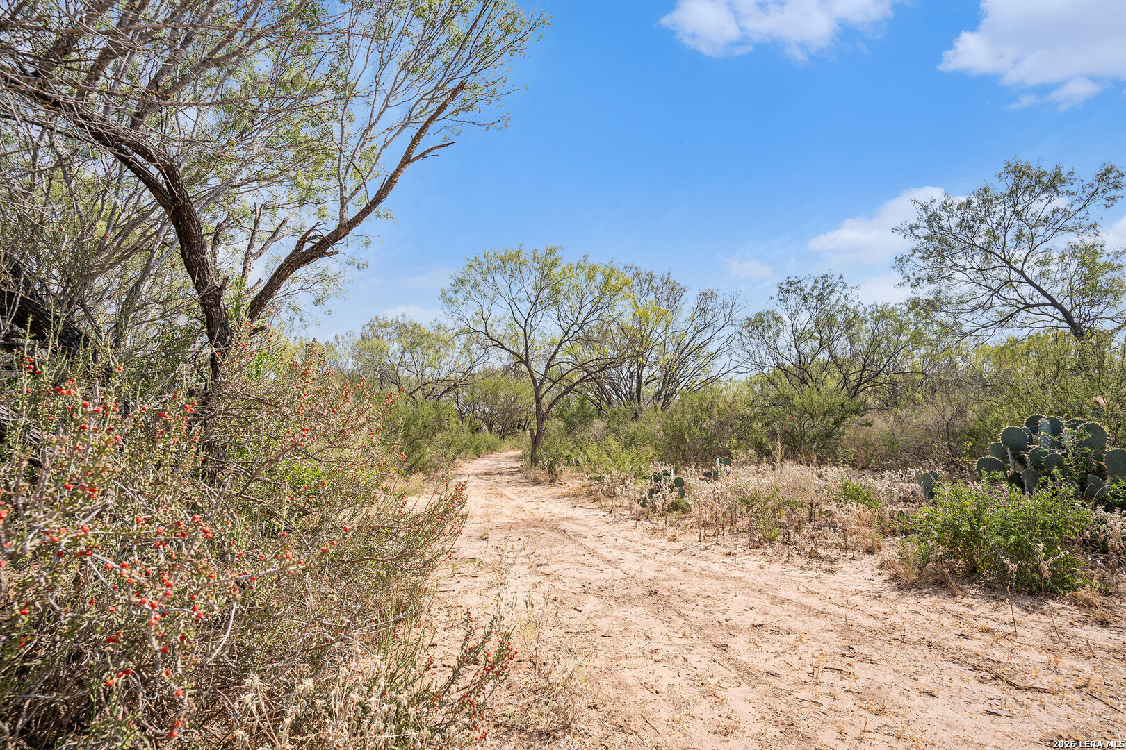 main property photo 13