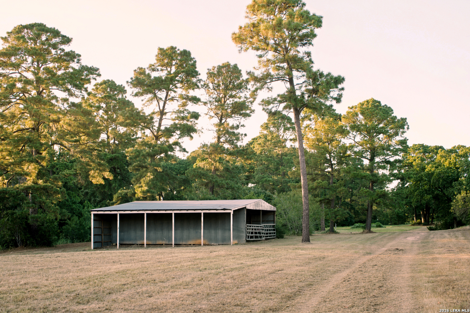 main property photo 39
