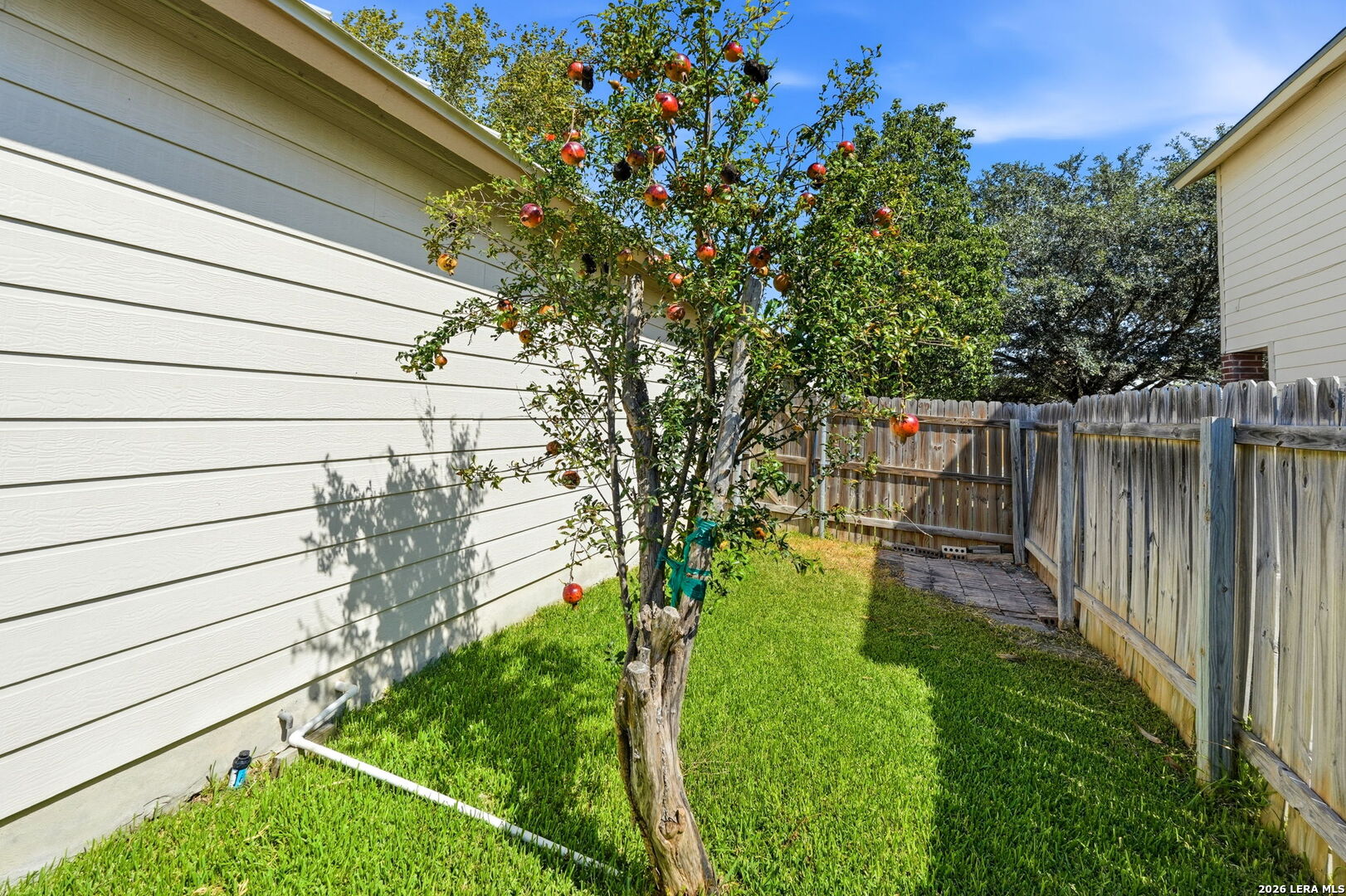 main property photo 41