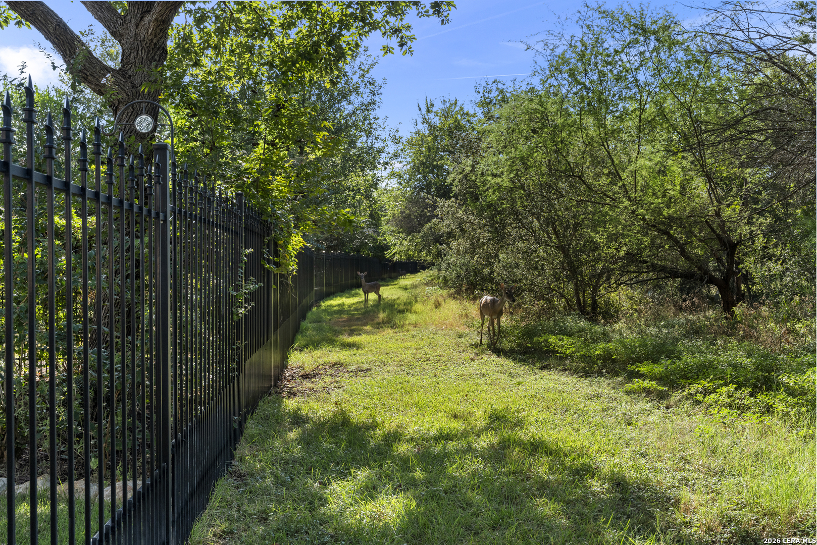 main property photo 38