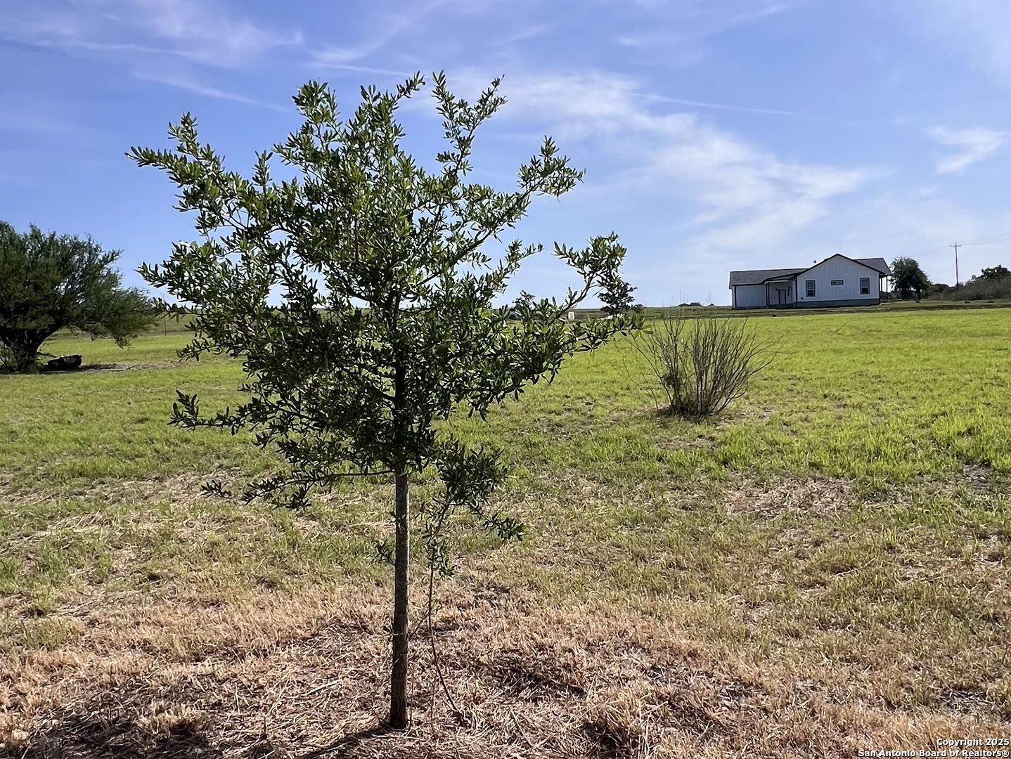 main property photo 10