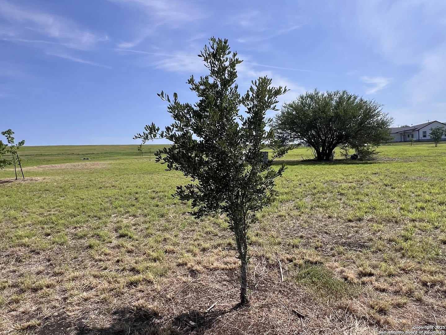 main property photo 11