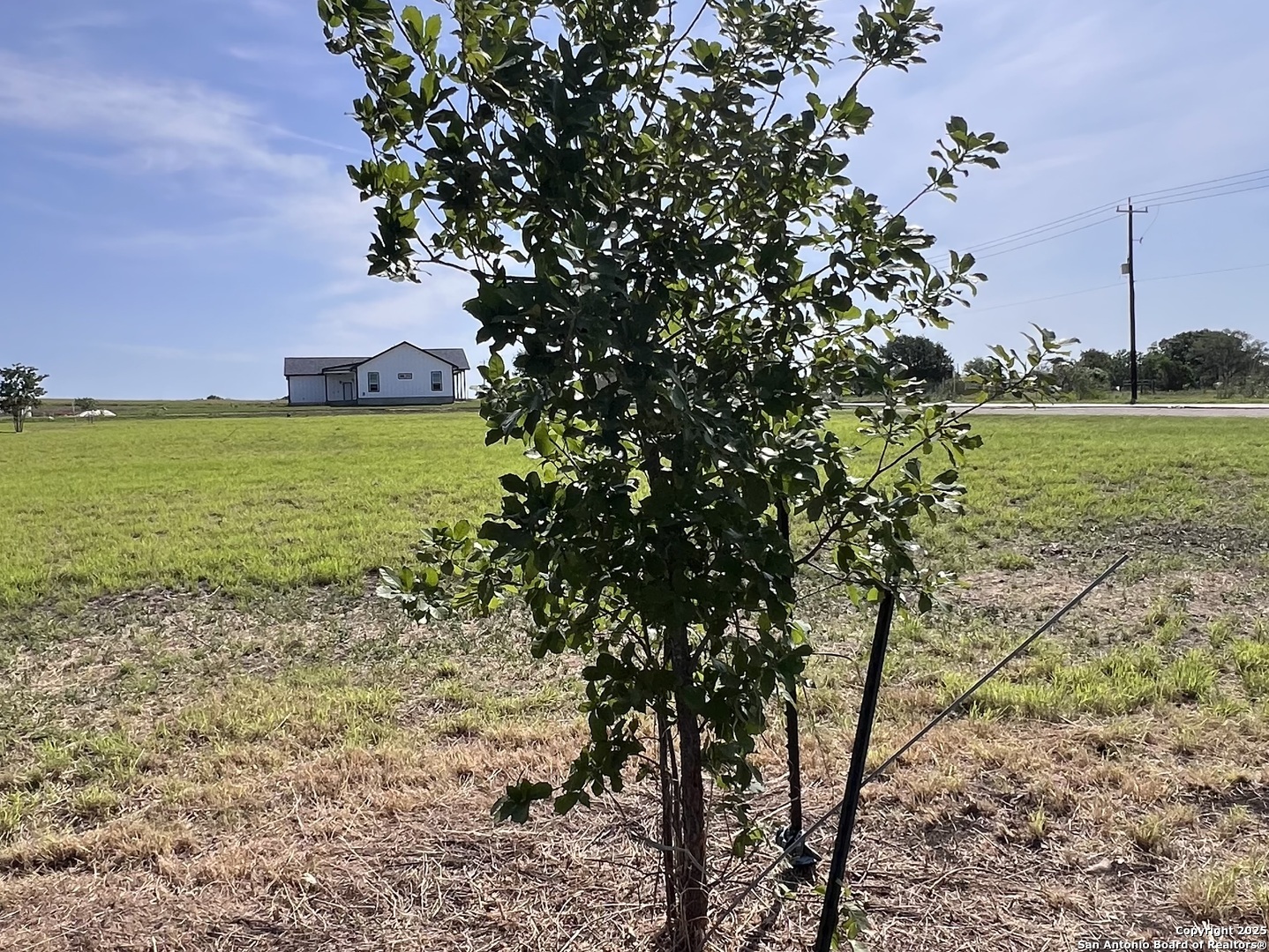 main property photo 13