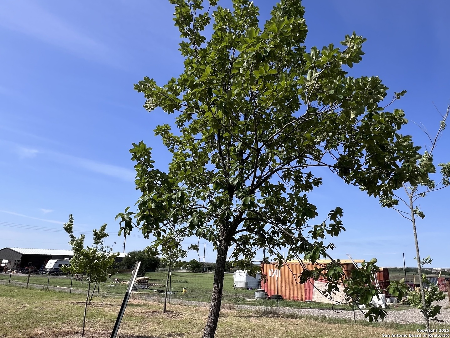 main property photo 17