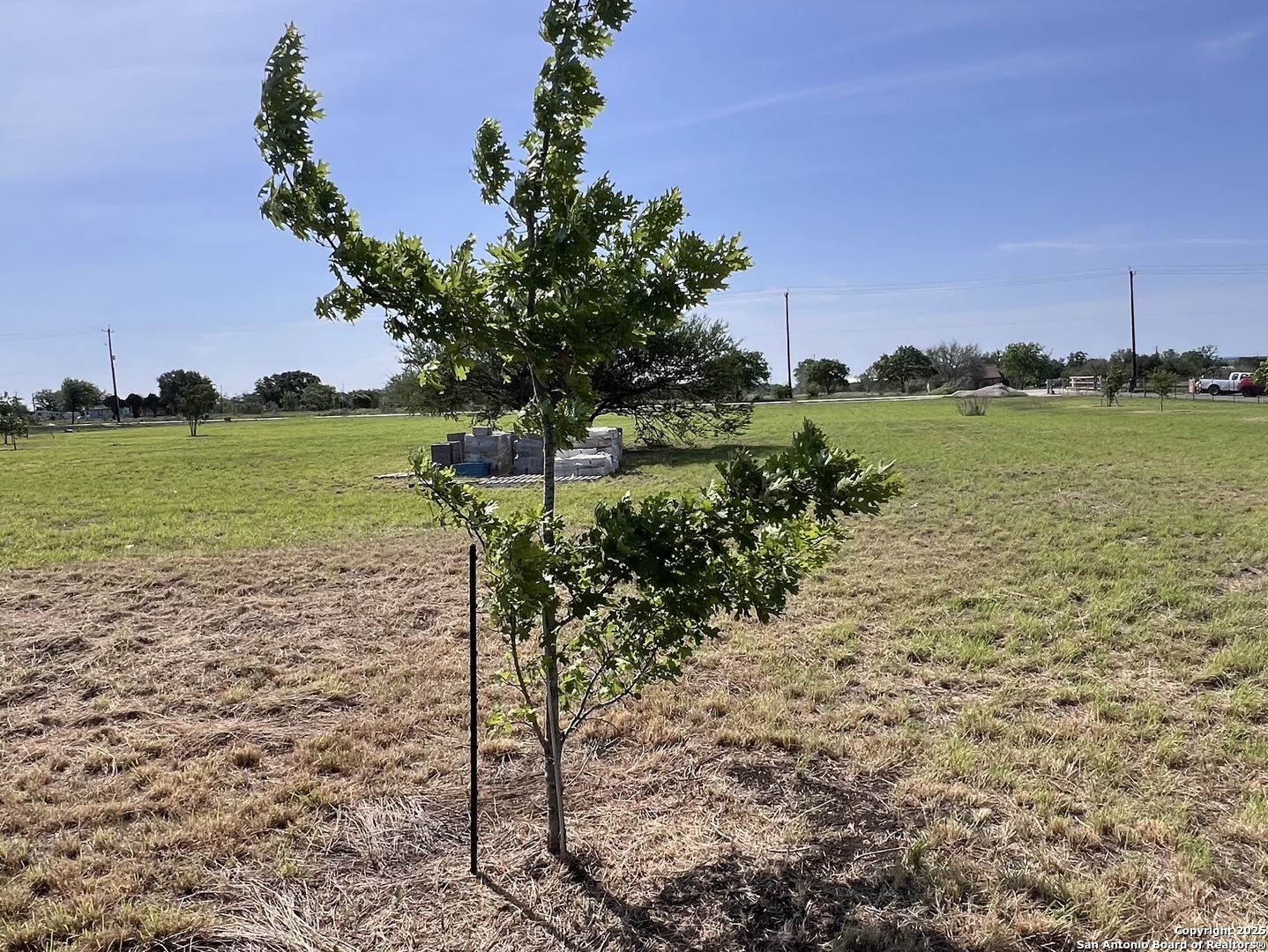 main property photo 19