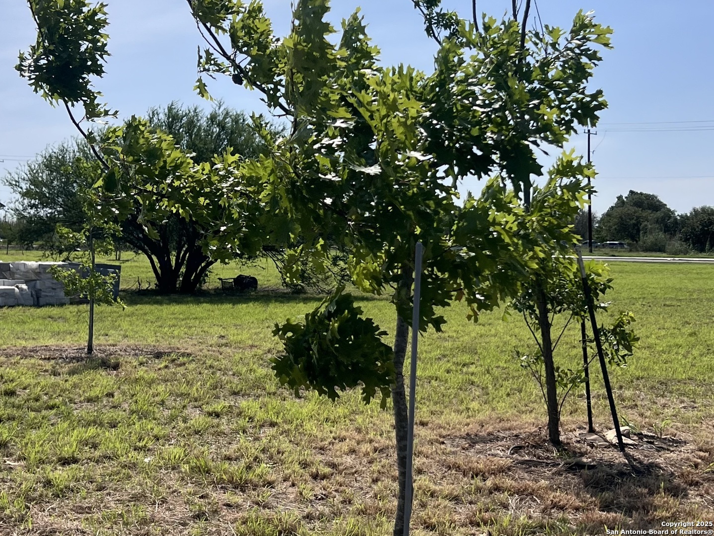 main property photo 22