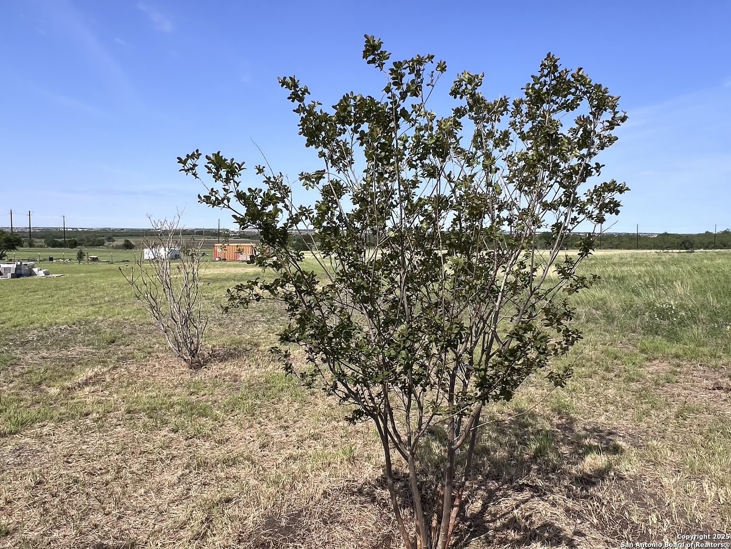 main property photo 26