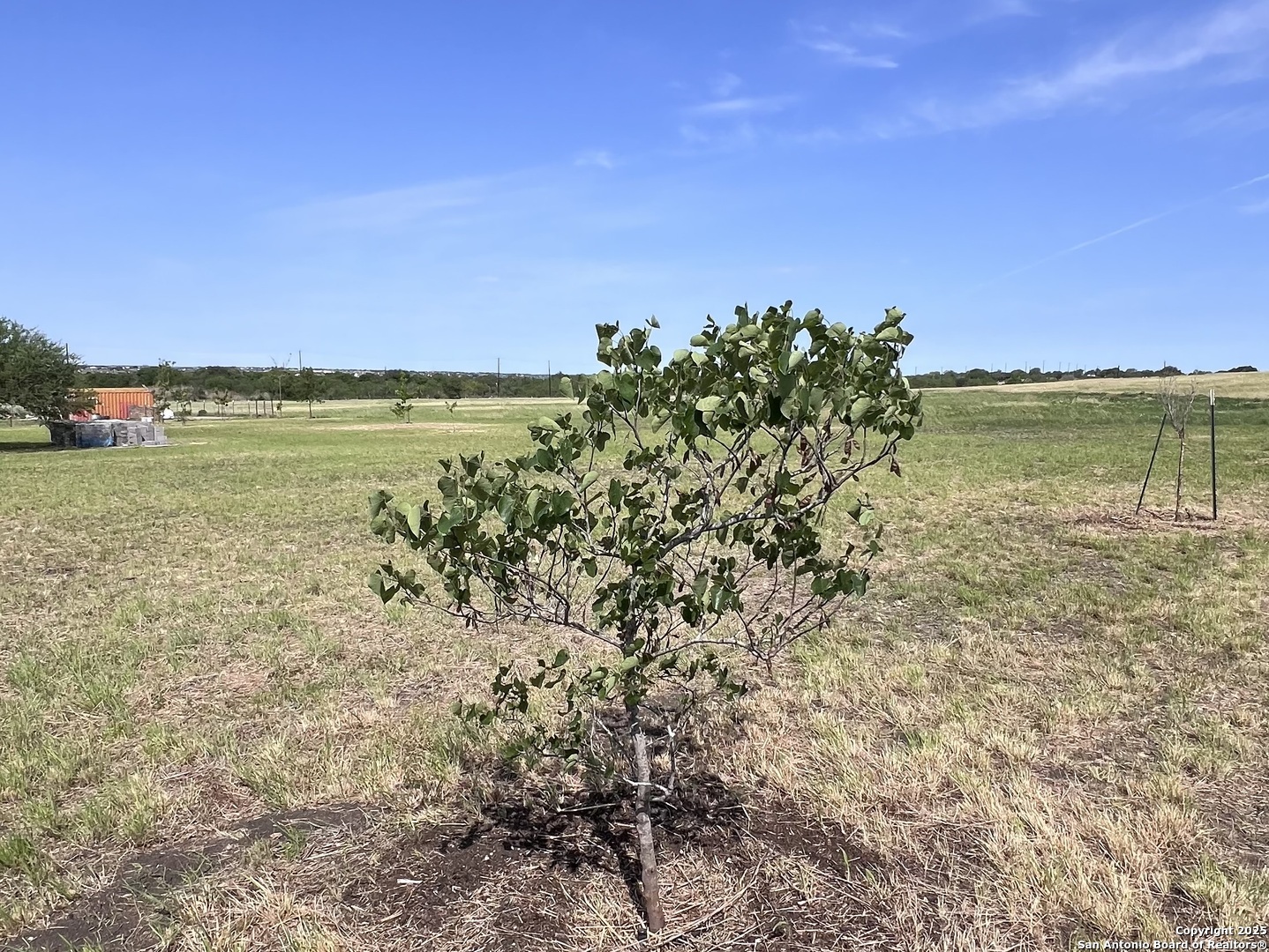 main property photo 27