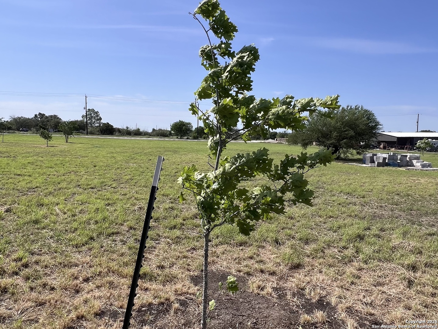 main property photo 30