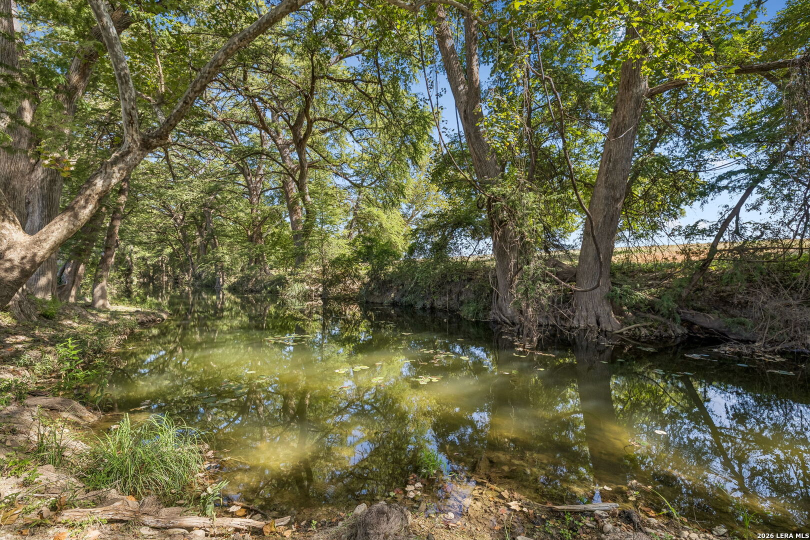 main property photo 44