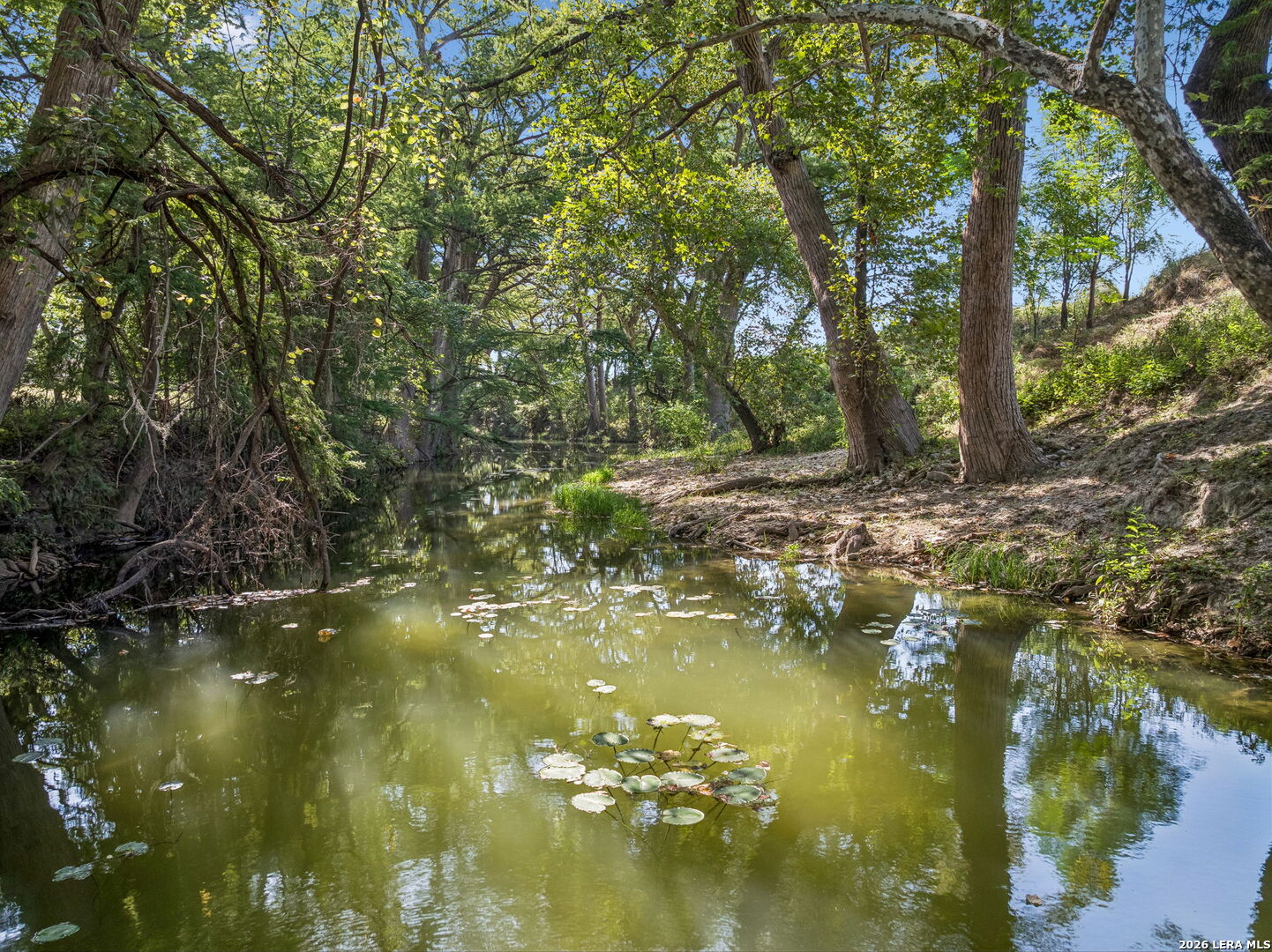 main property photo 69