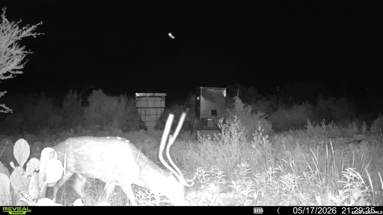 main property photo 57