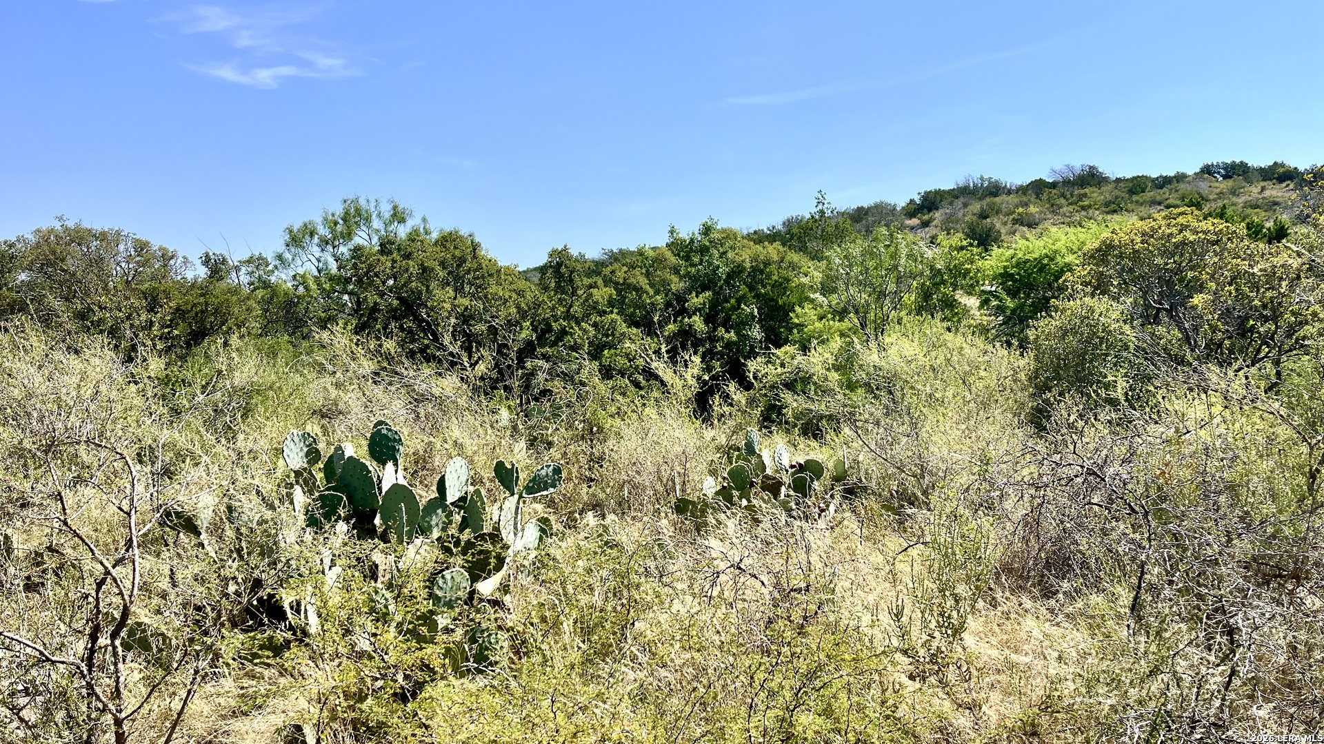 main property photo 60