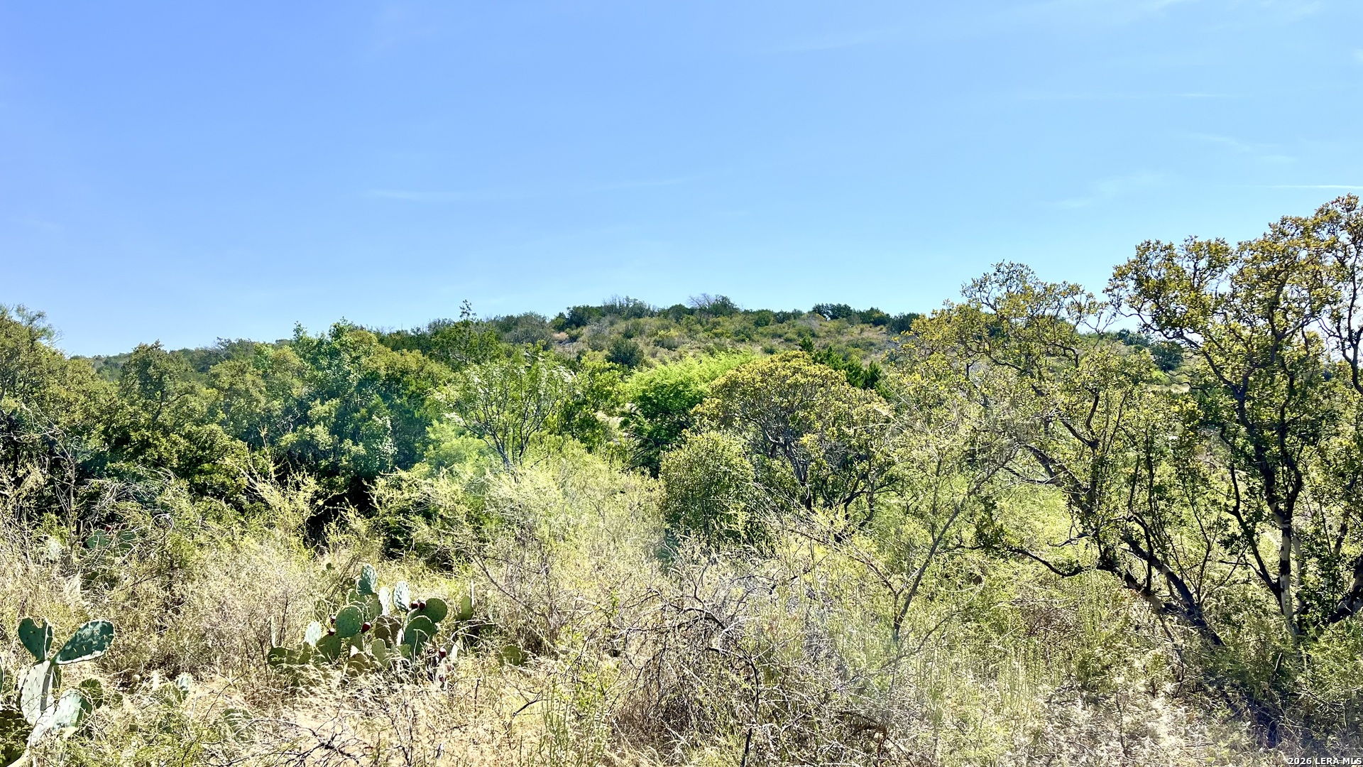 main property photo 61