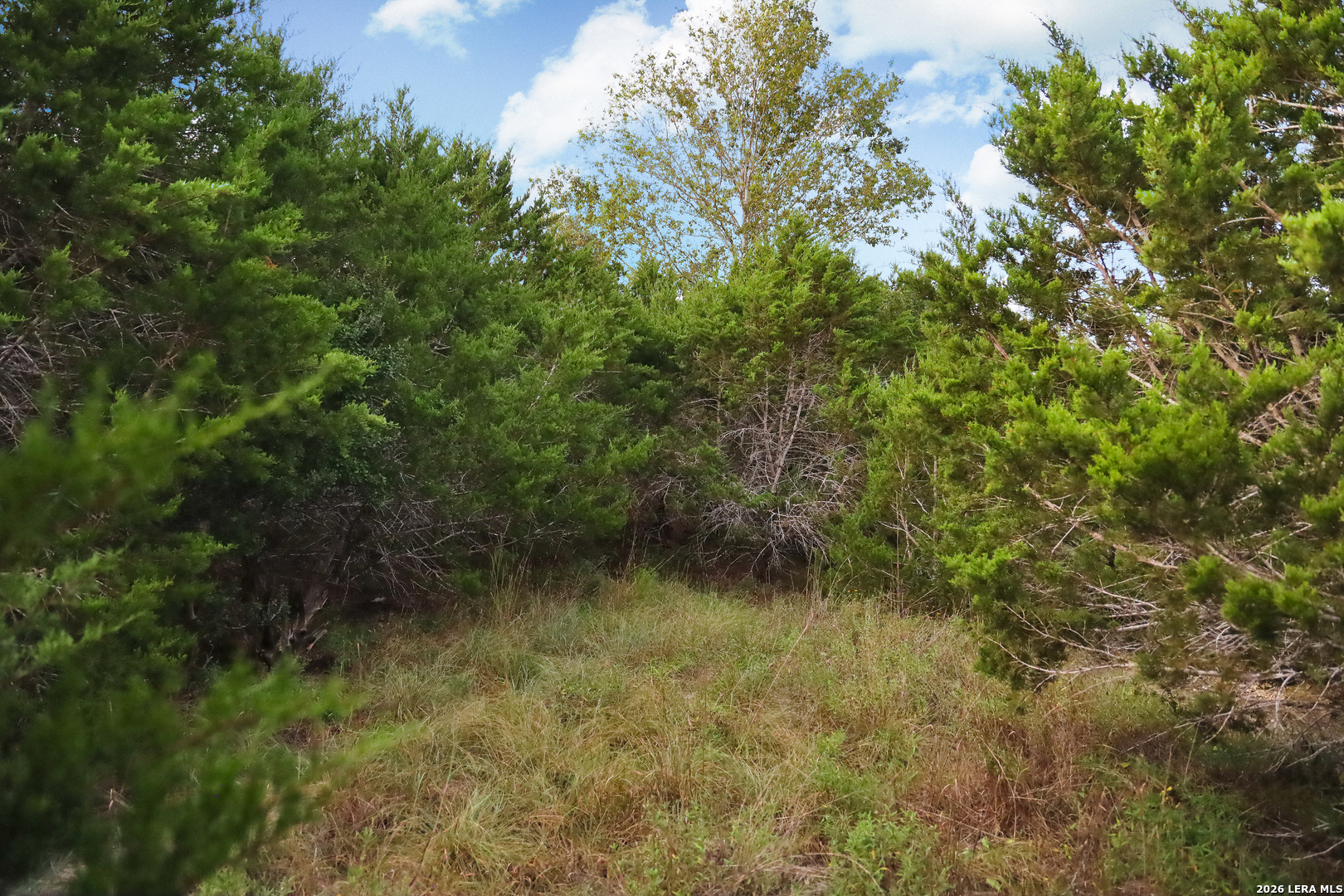 main property photo 66