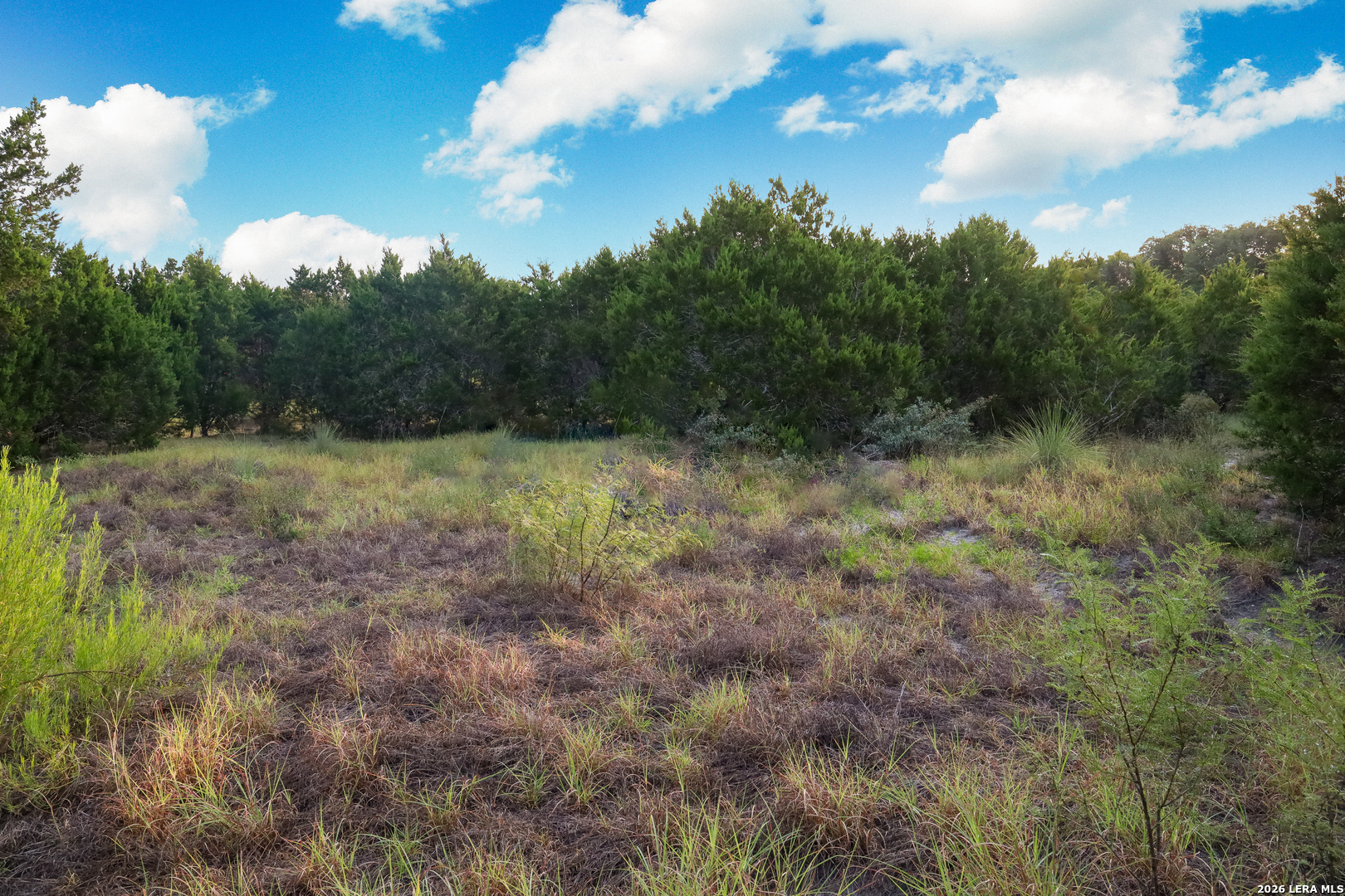 main property photo 68