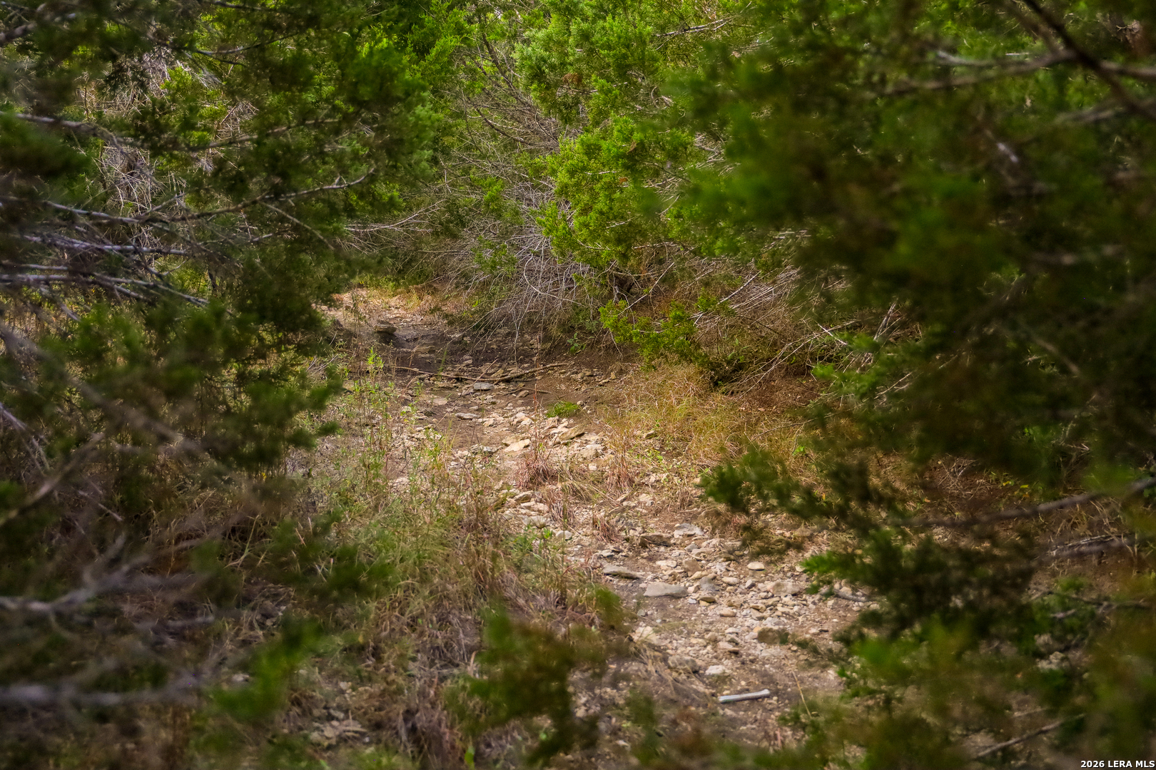 main property photo 71