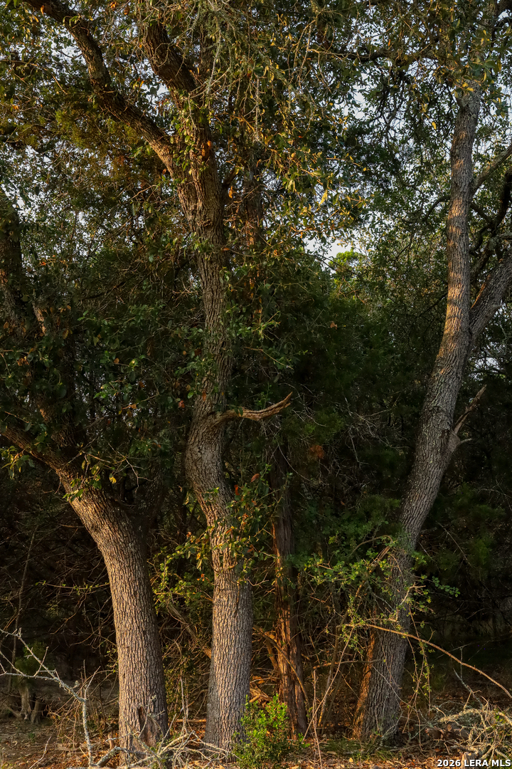 main property photo 73