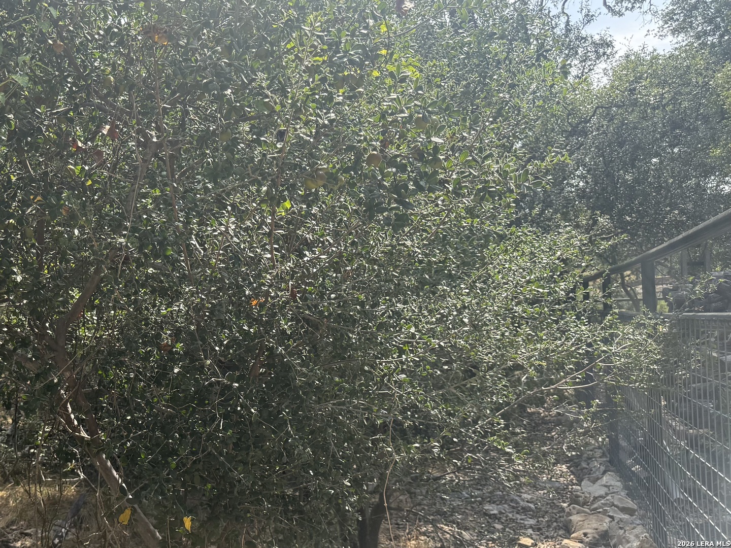 main property photo 16