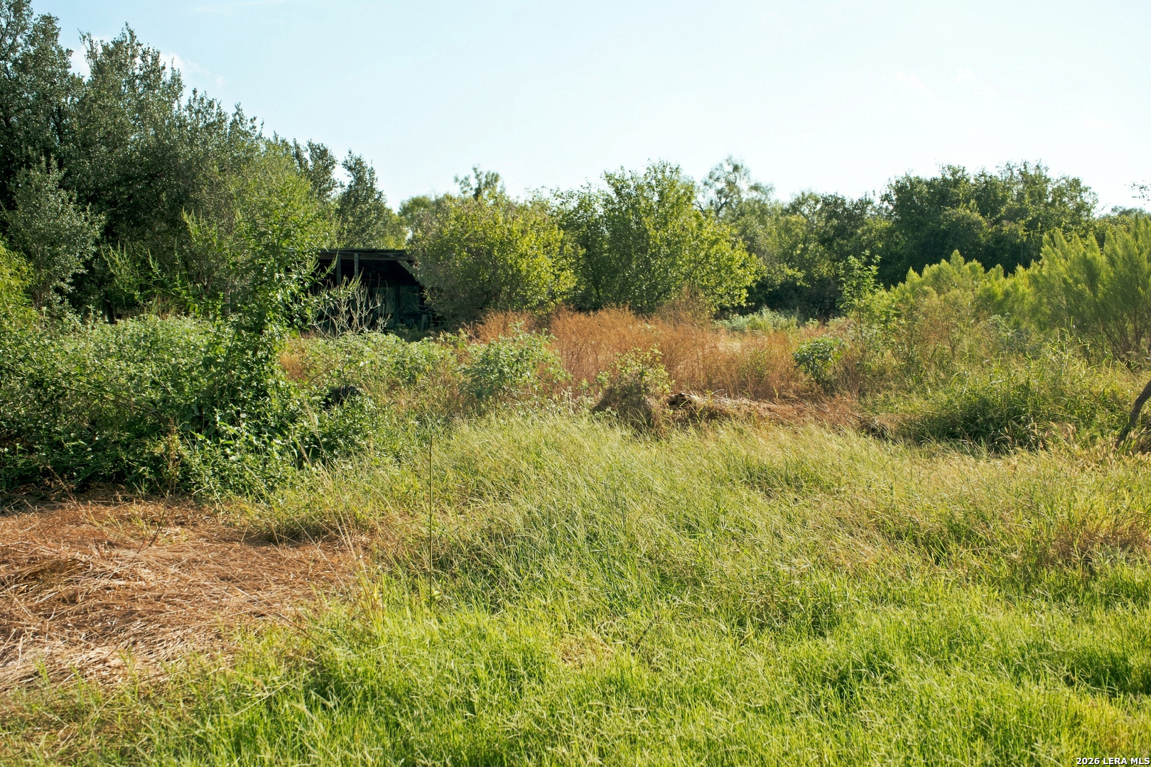 main property photo 10