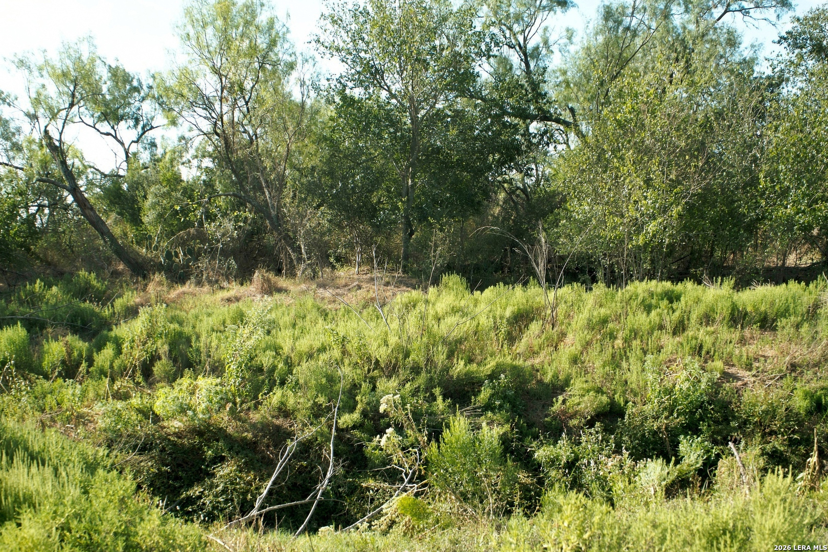 main property photo 11