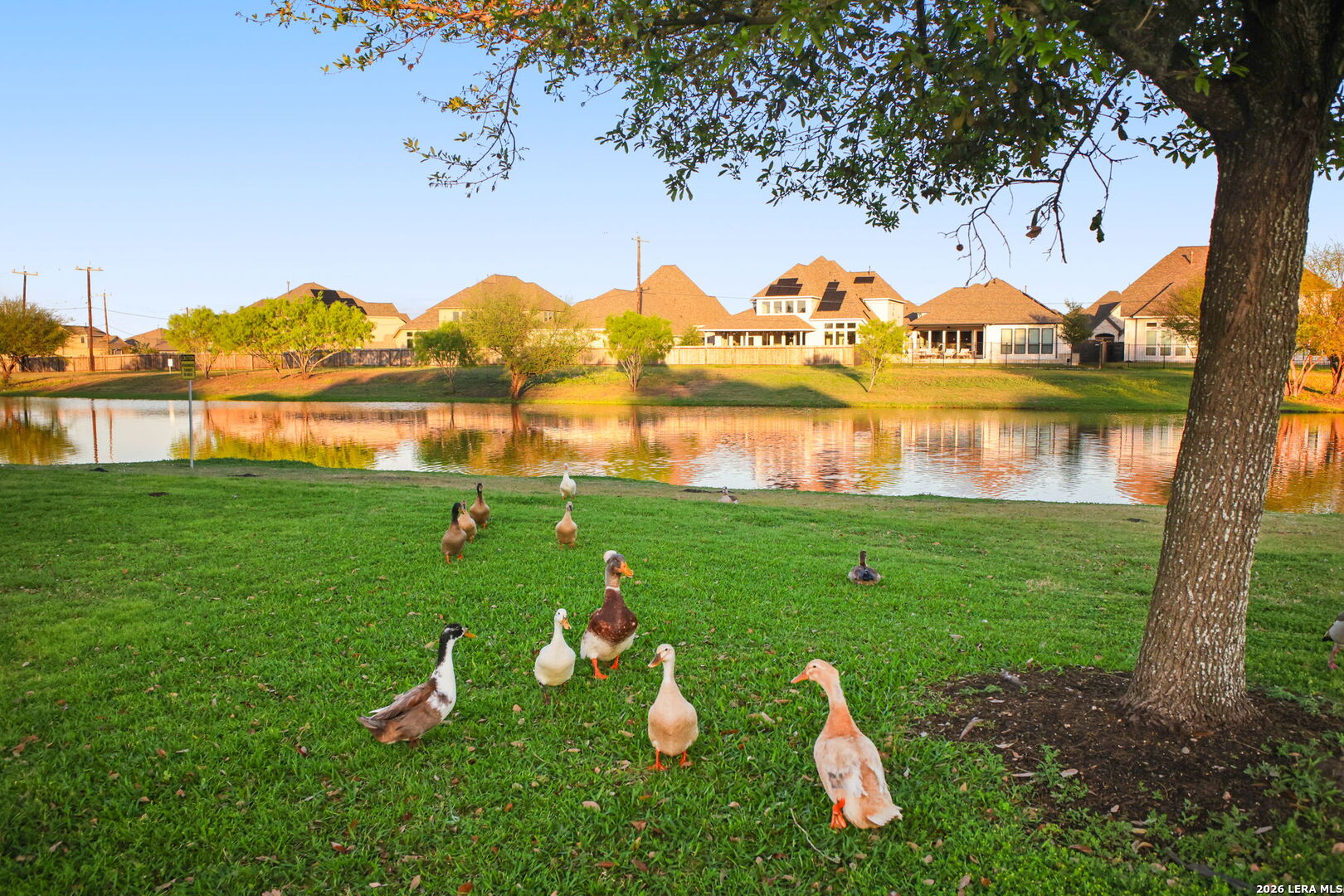 main property photo 49