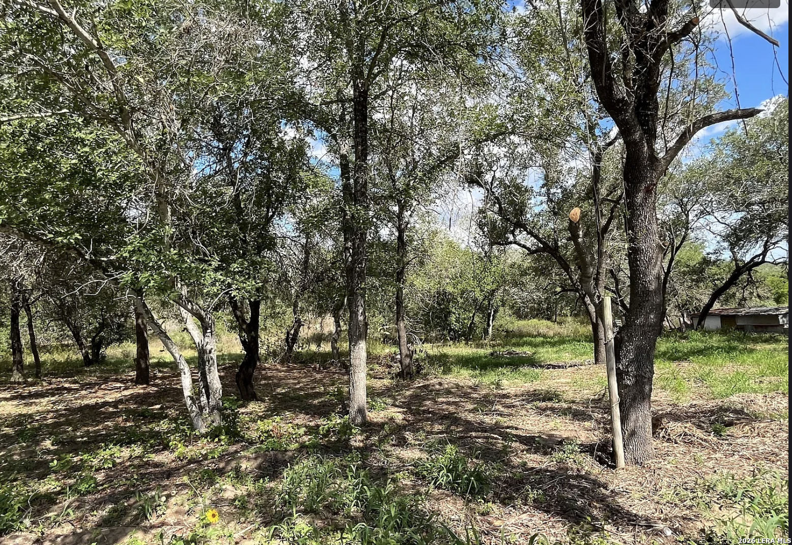 main property photo 6