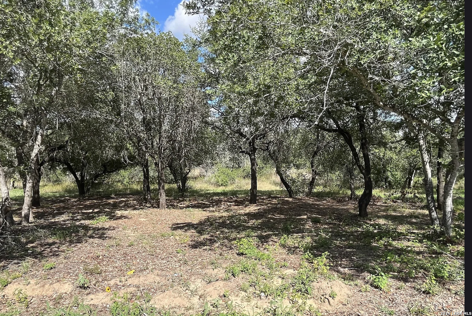 main property photo 7