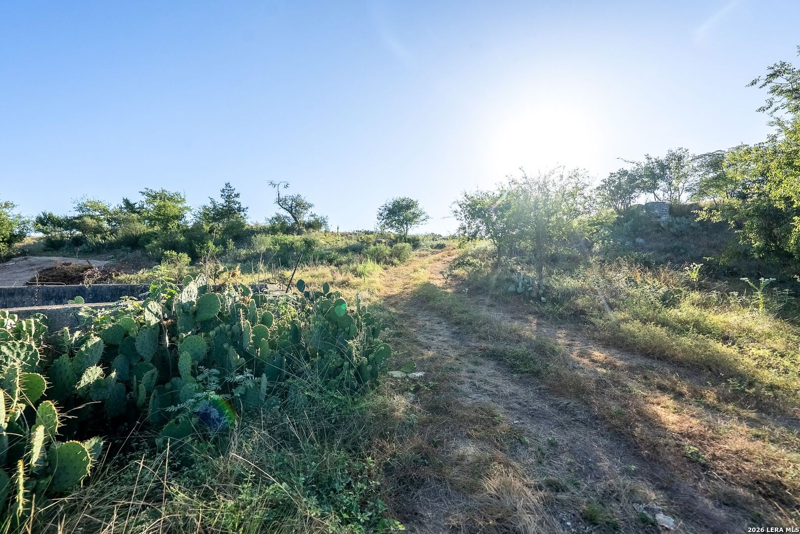 main property photo 35