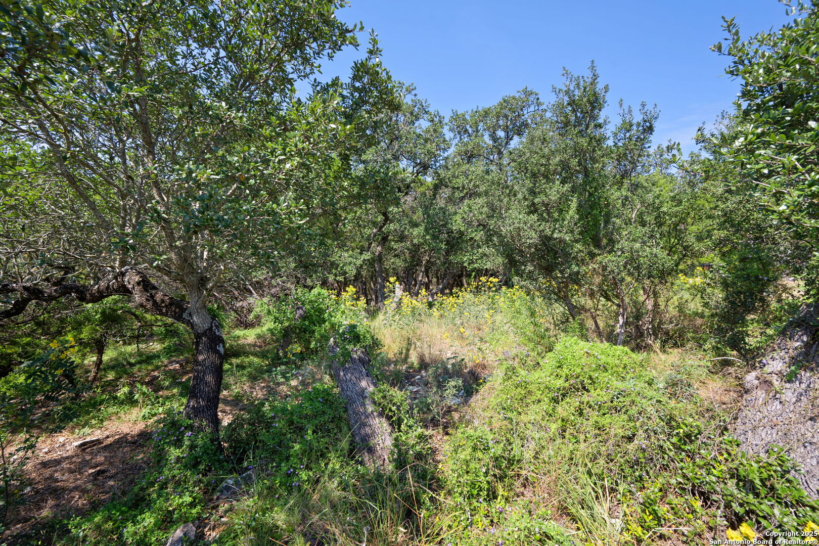 main property photo 7