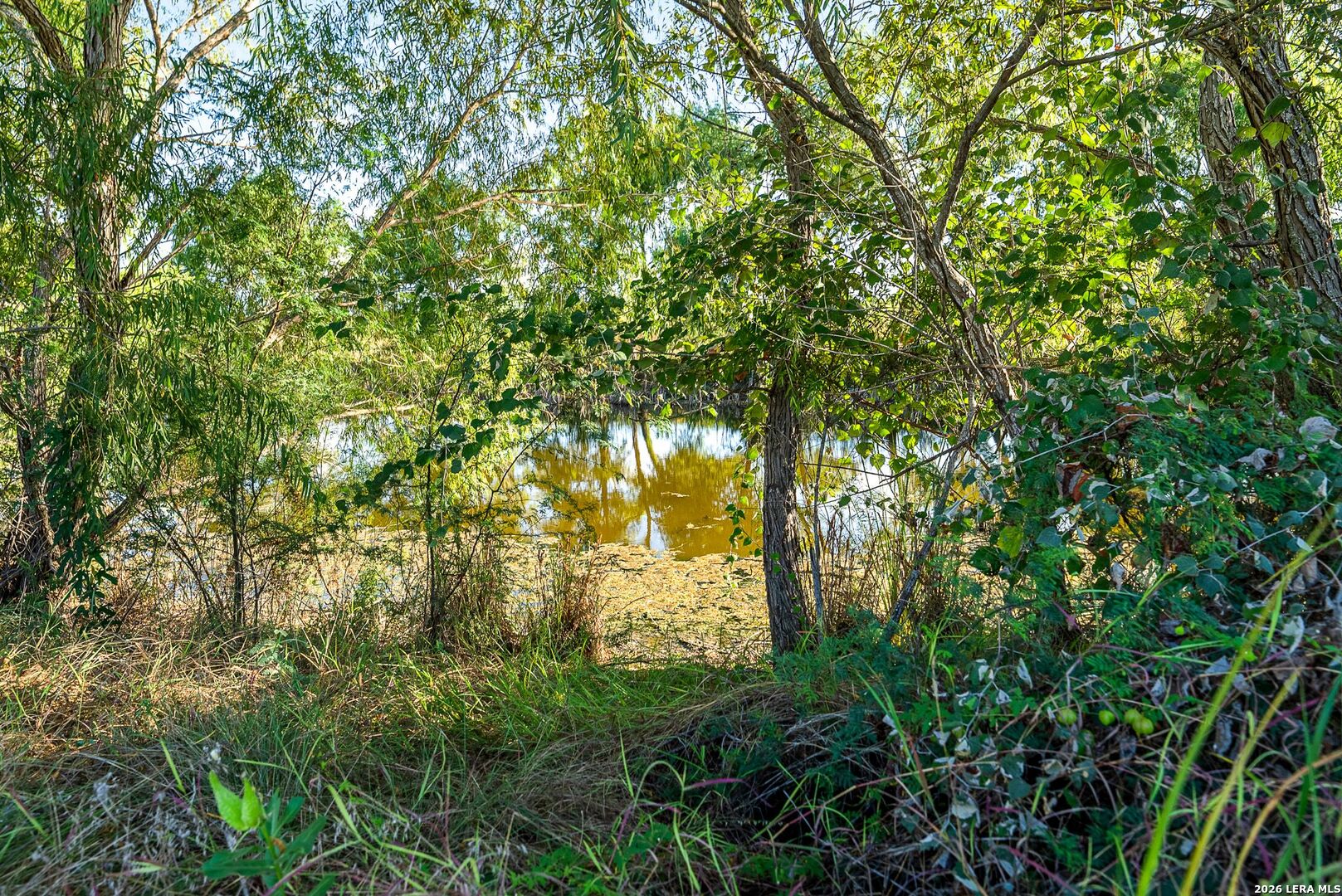 main property photo 70