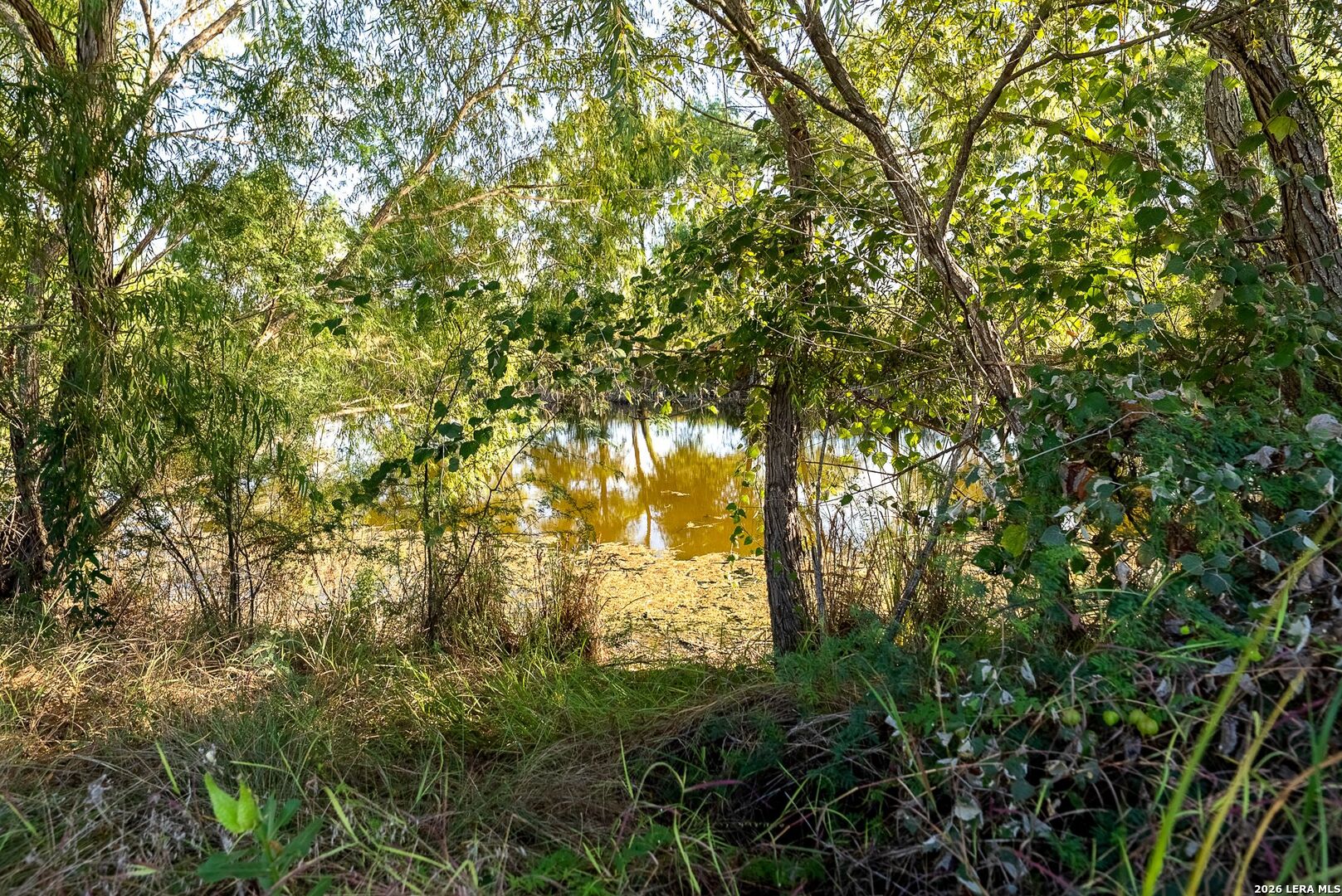 main property photo 71