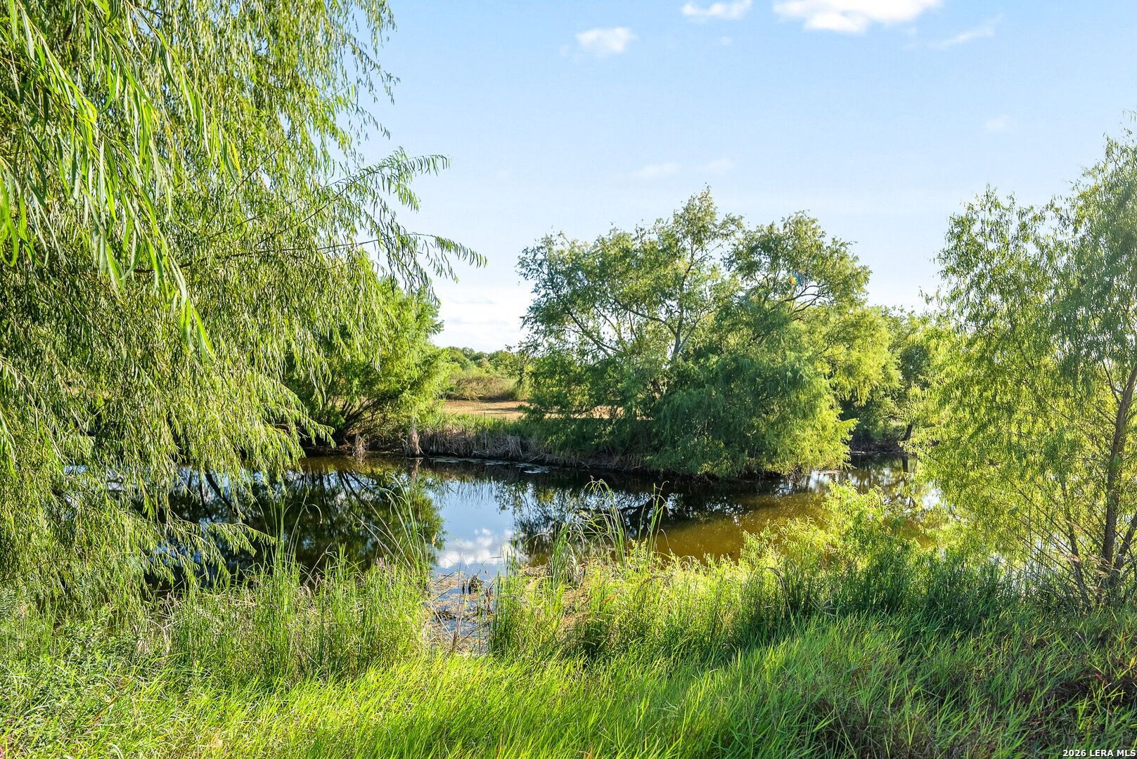 main property photo 72