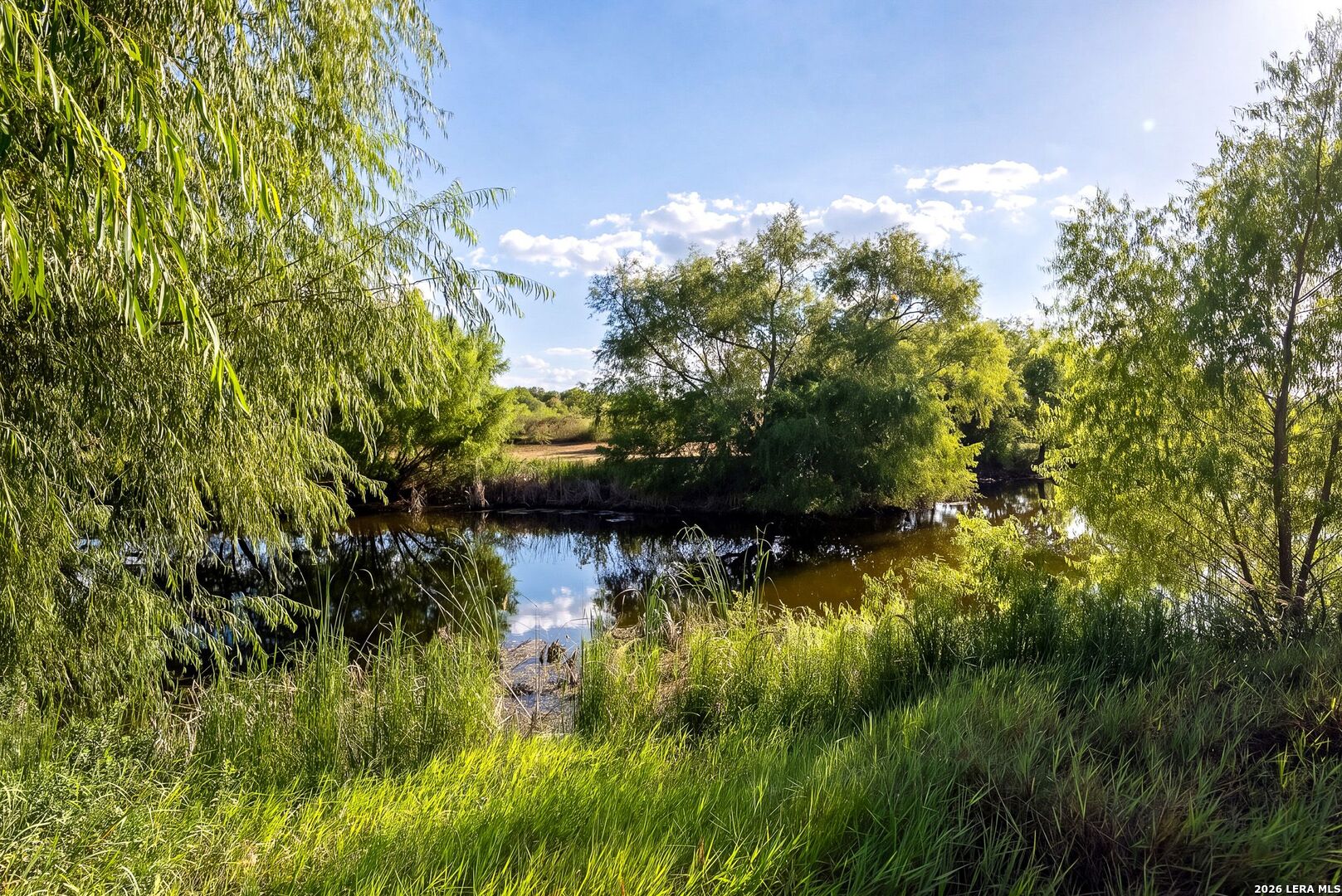 main property photo 73