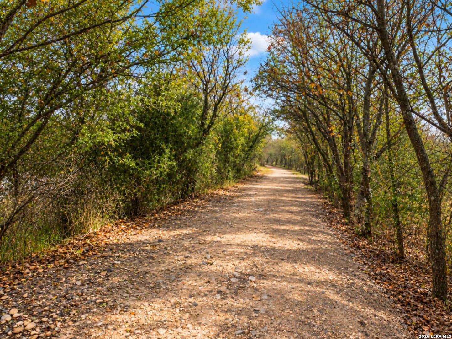 main property photo 55