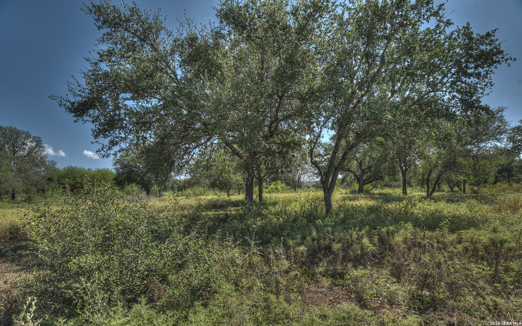 main property photo 41