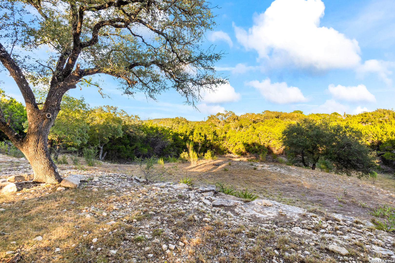 main property photo 67